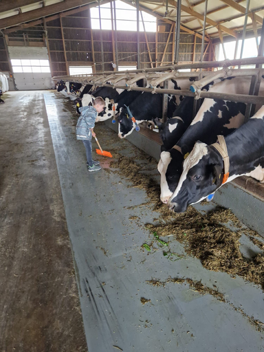 Bauernhofbesuch mit Zopfteigtierli backen