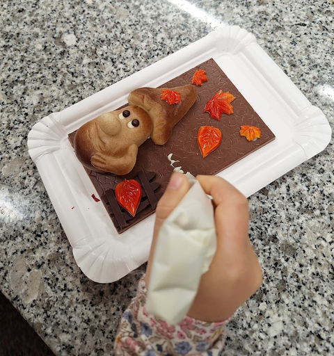 Geheimnisse der Schokolade