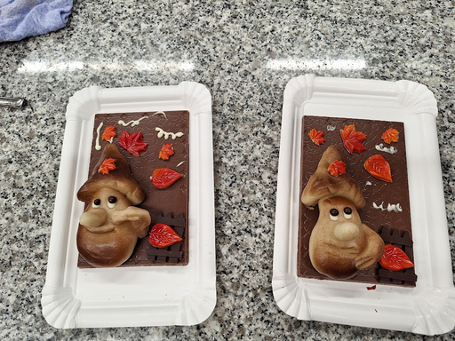 Geheimnisse der Schokolade