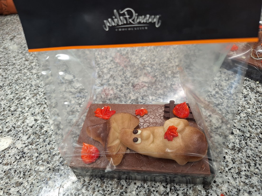 Geheimnisse der Schokolade