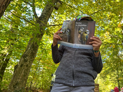 Bau eines Vogelhauses