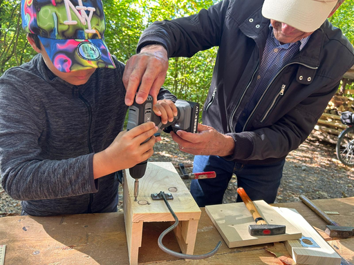 Bau eines Vogelhauses