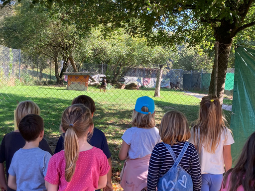 Besuch im Tierheim