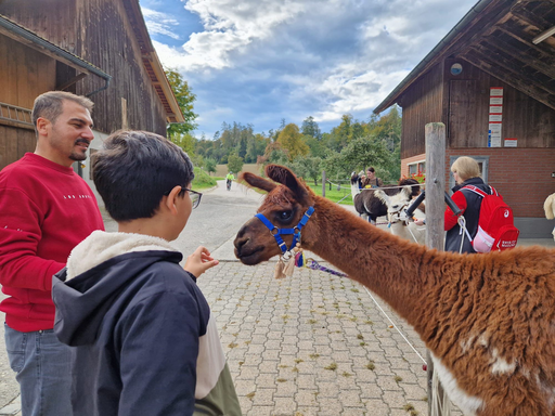 Lama-Trekking