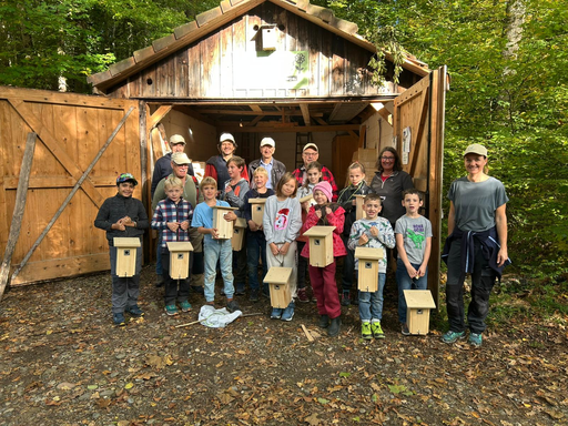 Bau eines Vogelhauses